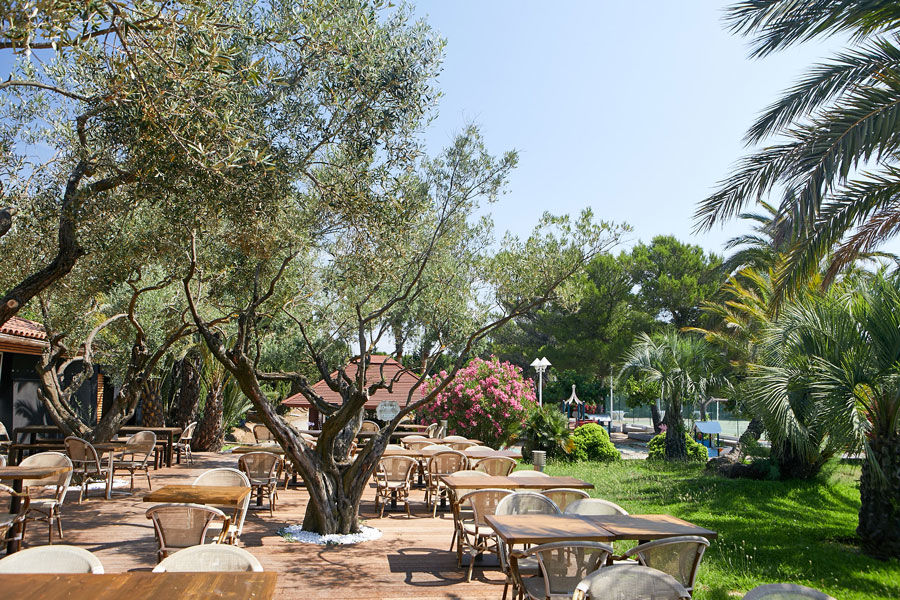 Camping-Écolodge-l-Étoile-d-Argens-terras Camping-Écolodge-l-Étoile-d-Argens-terras