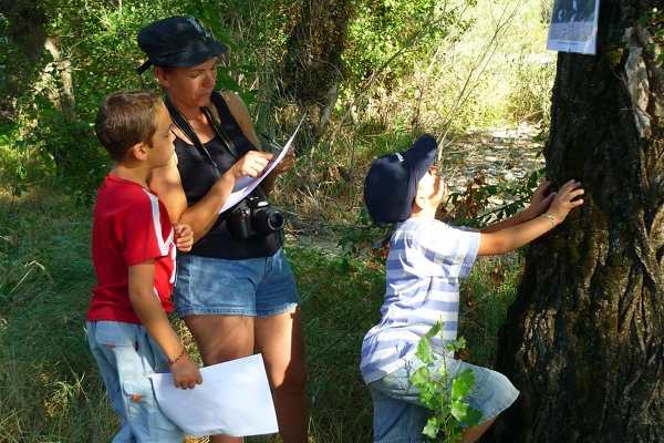 Camping Huttopia Wattwiller survival