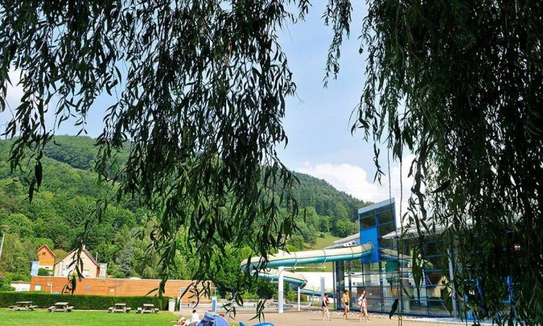 Camping Le Giessen overzicht 768x461