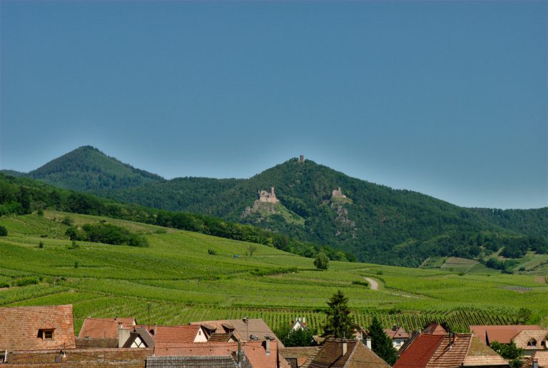 Hunawihr Wijngaarden 768x515