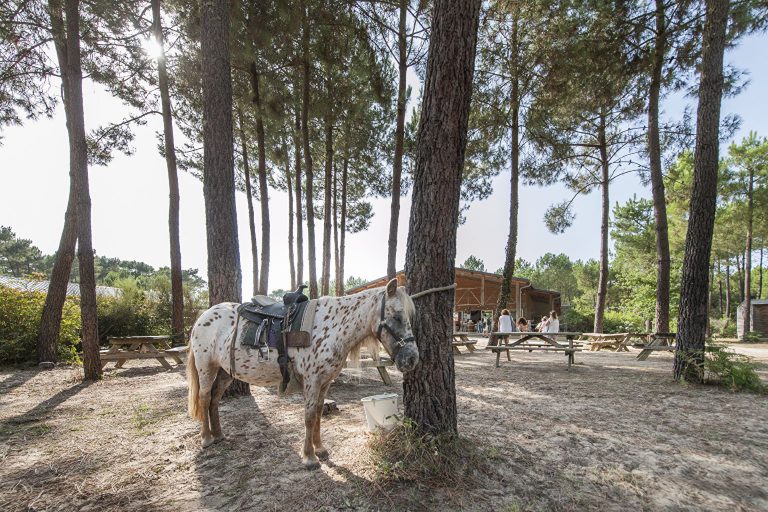 Camping Sandaya Soustons Village ponyrijden 768x512