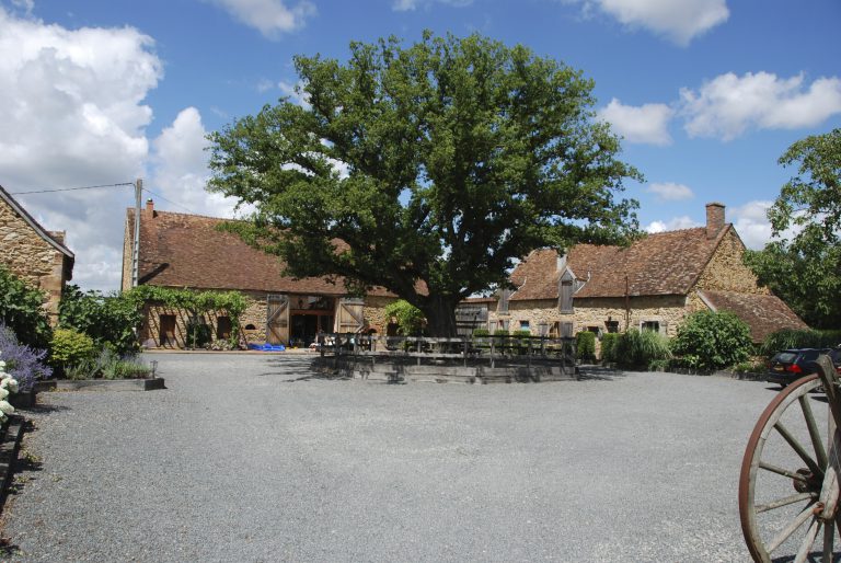 Camping Domaine Bonneblond binneplaats 768x514