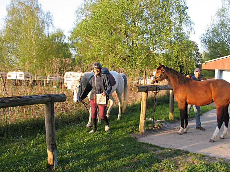 Camping Au Clair Ruisseau paardrijden 768x576