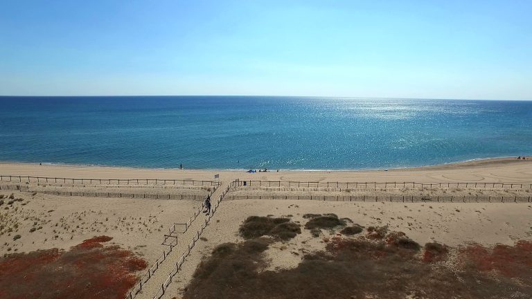 000006602221 768x432