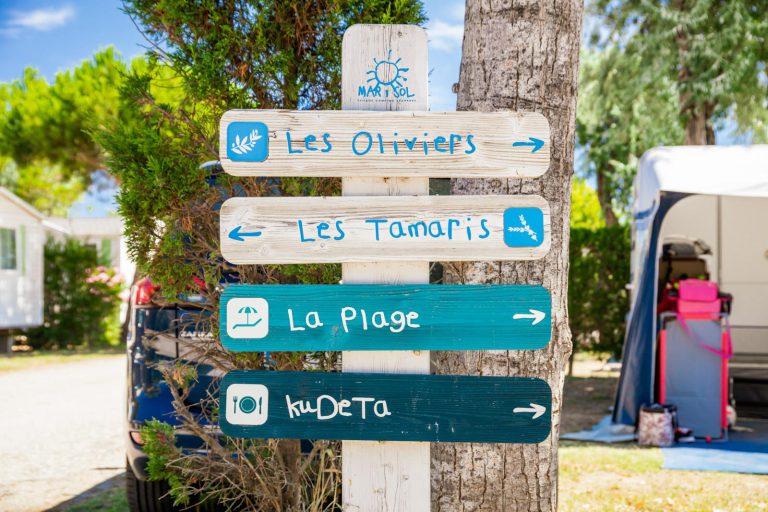 000007717661 768x512