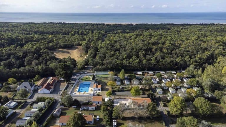 00001009057 1 scaled 768x432