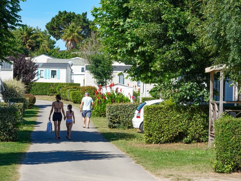 000010547561 768x576