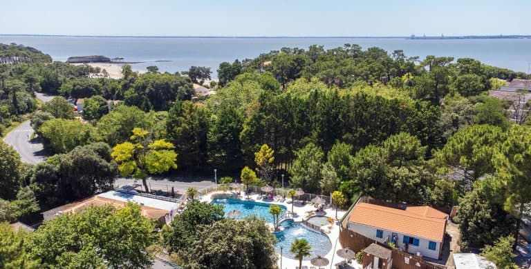 000010285631 768x390